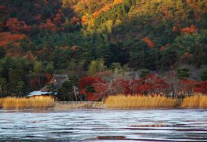 広沢の池