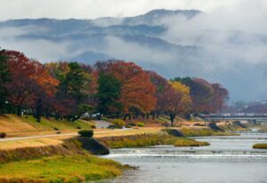 賀茂川