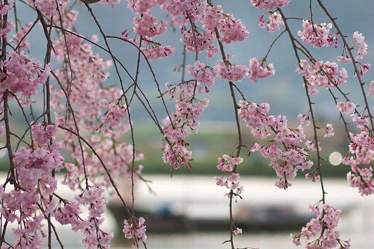 広沢の池