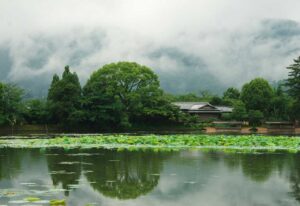 大覚寺　大沢の池