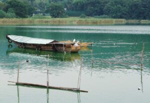 広沢の池