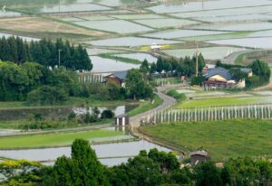 嵯峨野