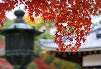 京都写真館　京の秋