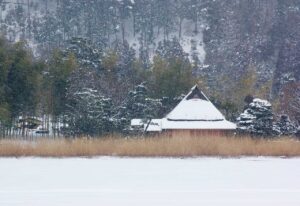 広沢の池