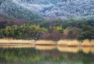 広沢の池