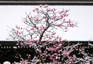 北野天満宮