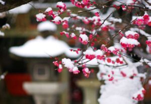 北野天満宮