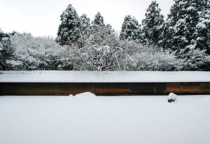 龍安寺